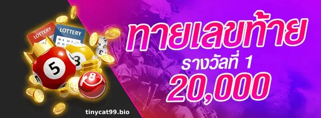สล็อตเว็บตรง edm